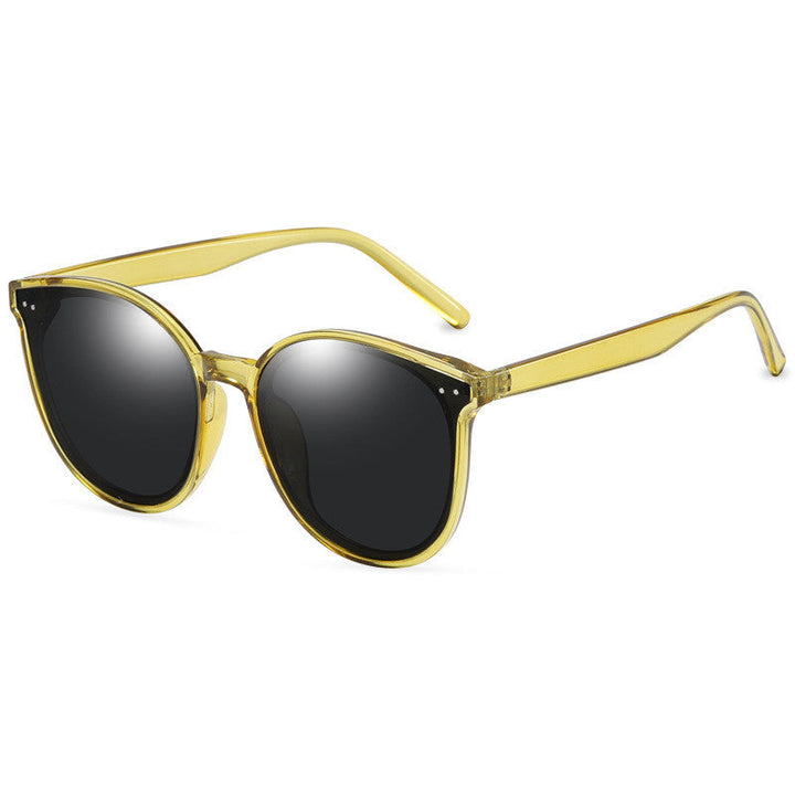LargeFrame Polarized Sunglasses