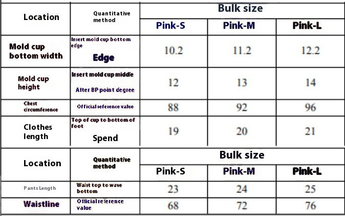 European And American Ladies Bikini Swimsuit