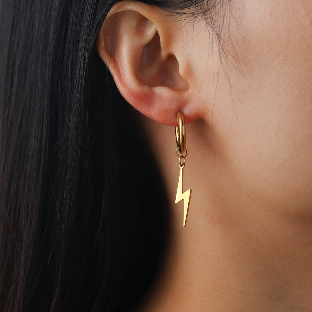 Temperament Wild Stainless Steel Women's Earrings