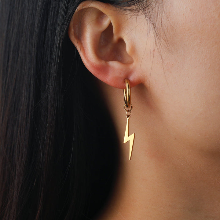 Temperament Wild Stainless Steel Women's Earrings